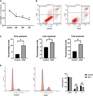 SLC4A11 and MFSD3 Gene Expression Changes in Deoxynivalenol Treated IPEC-J2 Cells